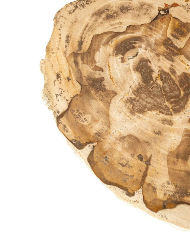PTMD Jisse Natuurlijke versteend houten bijzettafel met gedraaide voet.
