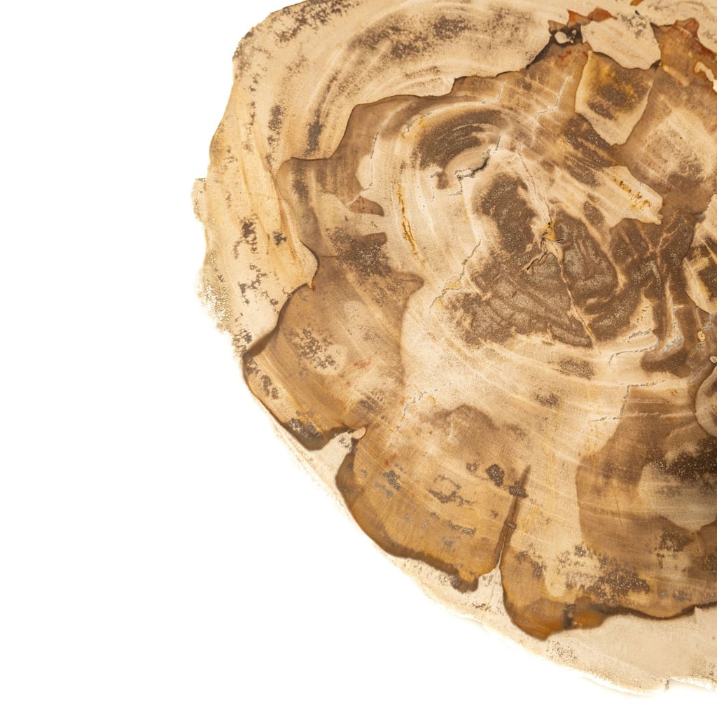 PTMD Jisse Natuurlijke versteend houten bijzettafel met gedraaide voet.