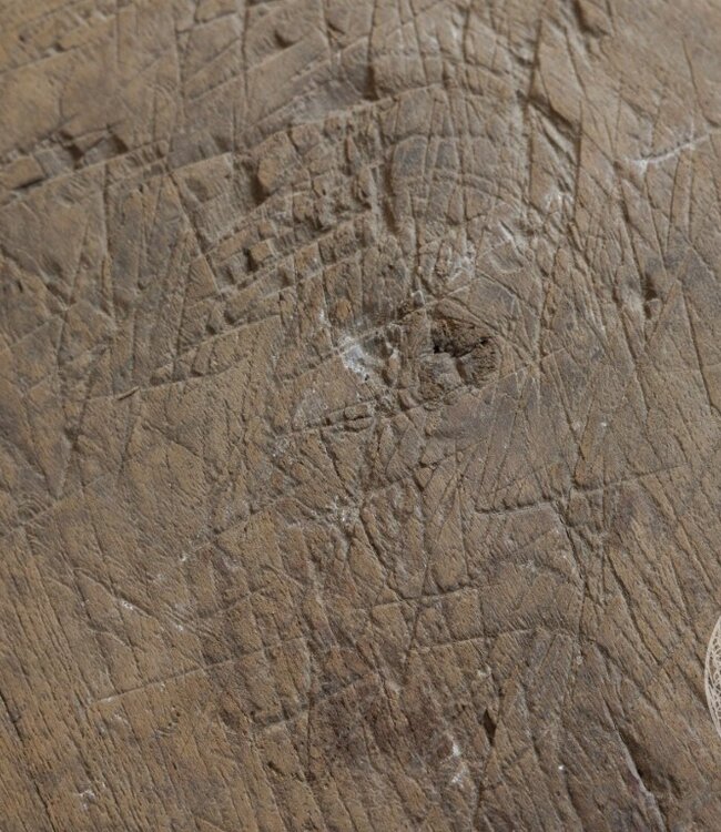 Be-Uniq Bijzettafel Chapati | India | H47xB27xD27 cm