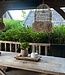 Bazar Bizar De Casita Hanglamp - Naturel - S