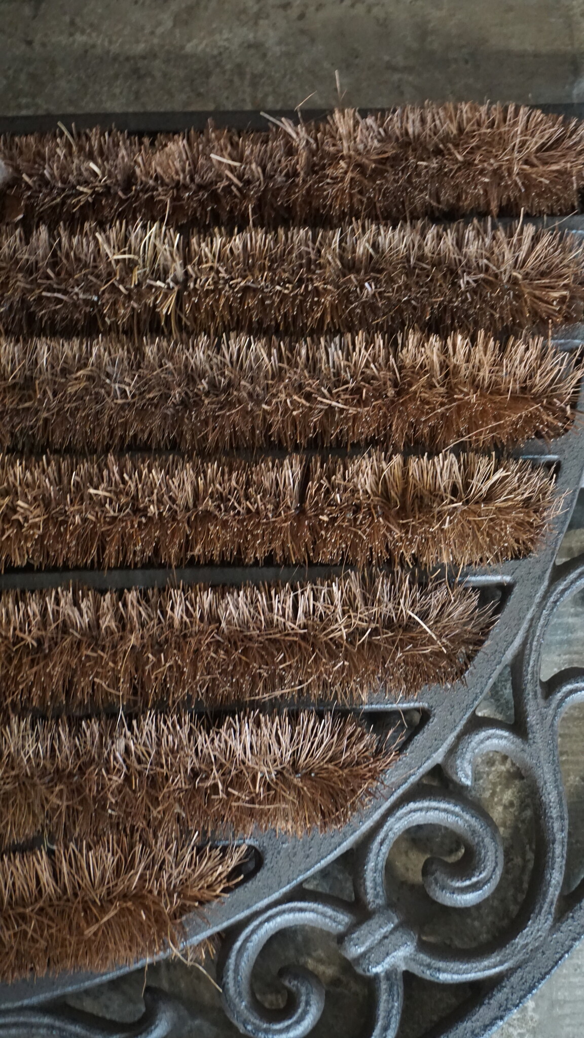 Rene Houtman Deurmat | Gietijzer Ornamentaal | H38 x B65 cm