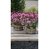 Set Van 2 Ronde Manden | Rotan | Naturel