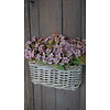 Hangmand Met 2 Lussen | Rotan | H15 x B29 x D17 cm