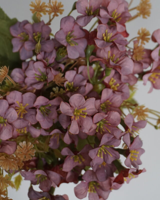 Rene Houtman Bundel Bloemen | Bruin/Roze | L40 cm
