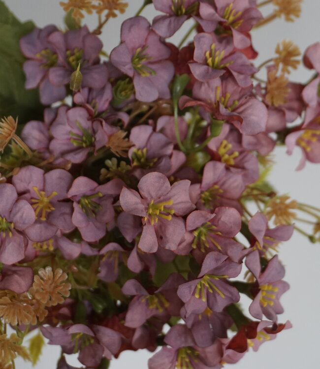 Rene Houtman Bundel Bloemen | Bruin/Roze | L40 cm