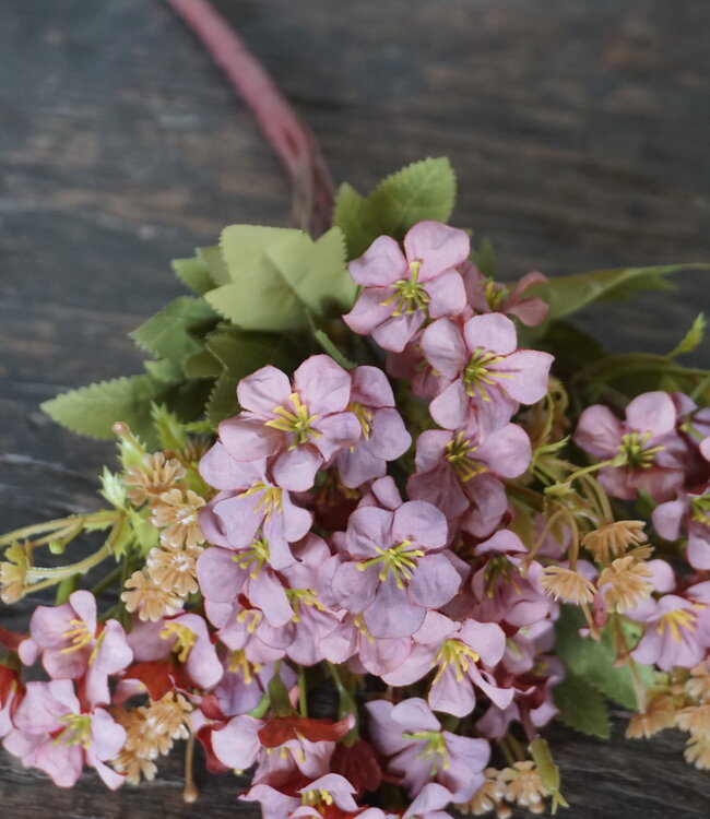 Rene Houtman Bundel Bloemen | Bruin/Roze | L40 cm