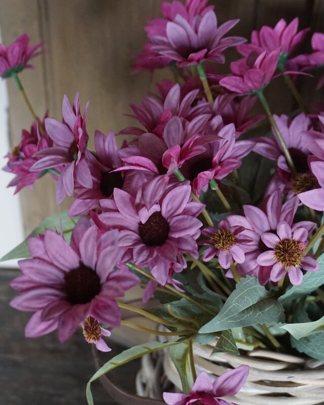 Rene Houtman Echinacea Takje | Paars | L60 cm