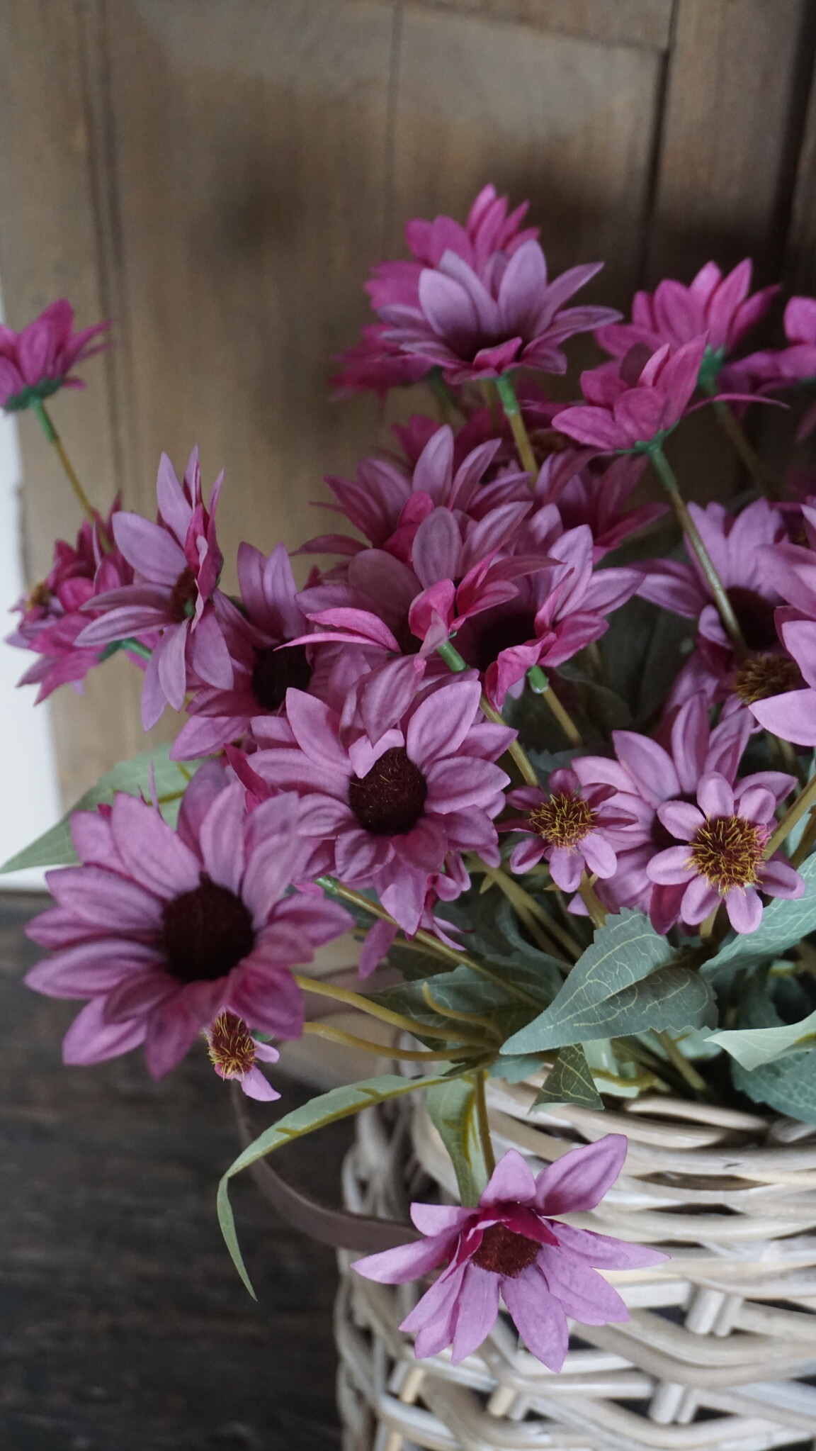 Rene Houtman Echinacea Takje | Paars | L60 cm