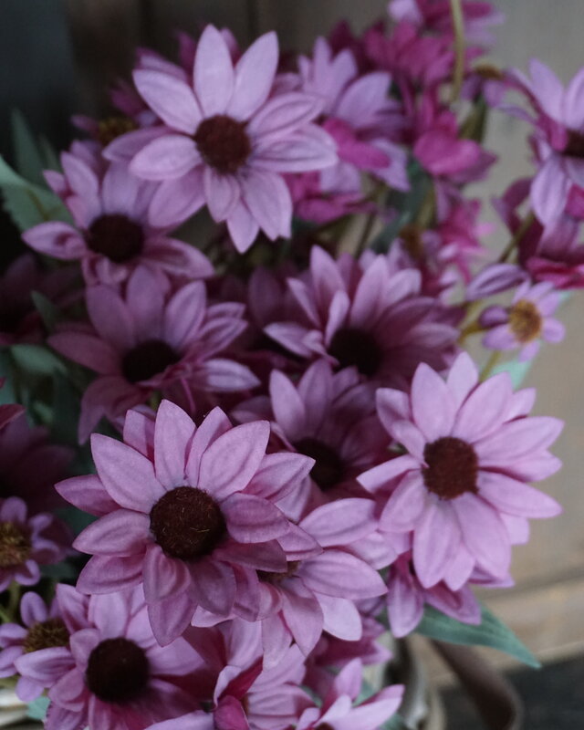 Rene Houtman Echinacea Takje | Paars | L60 cm