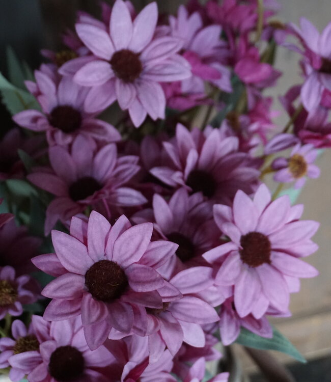 Rene Houtman Echinacea Takje | Paars | L60 cm