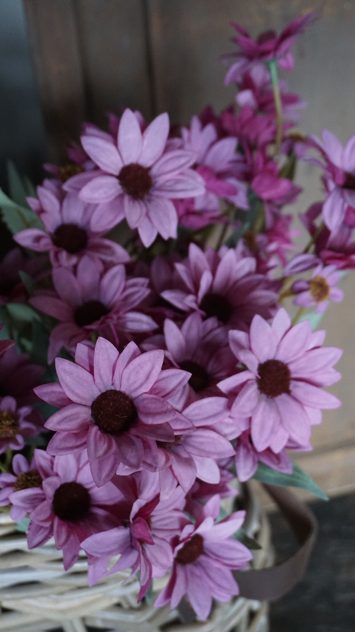 Rene Houtman Echinacea Takje | Paars | L60 cm