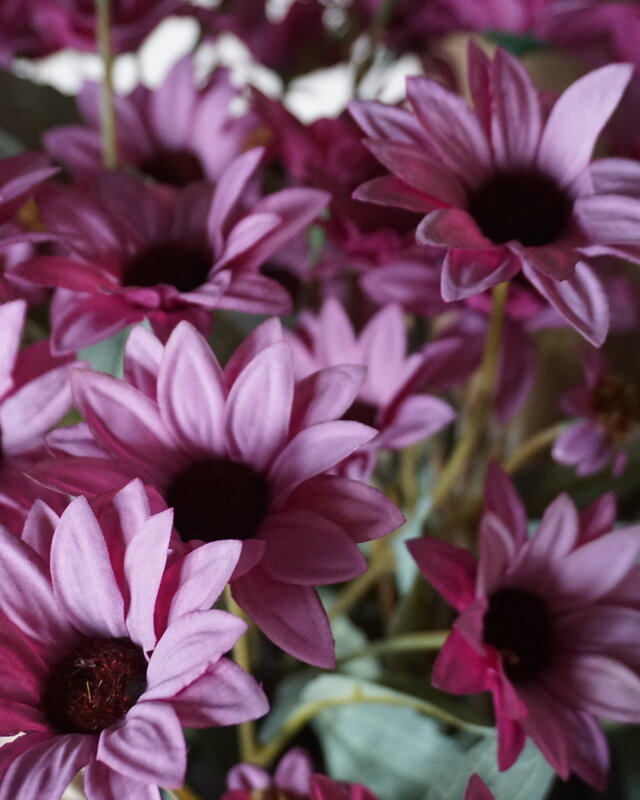 Rene Houtman Echinacea Takje | Paars | L60 cm