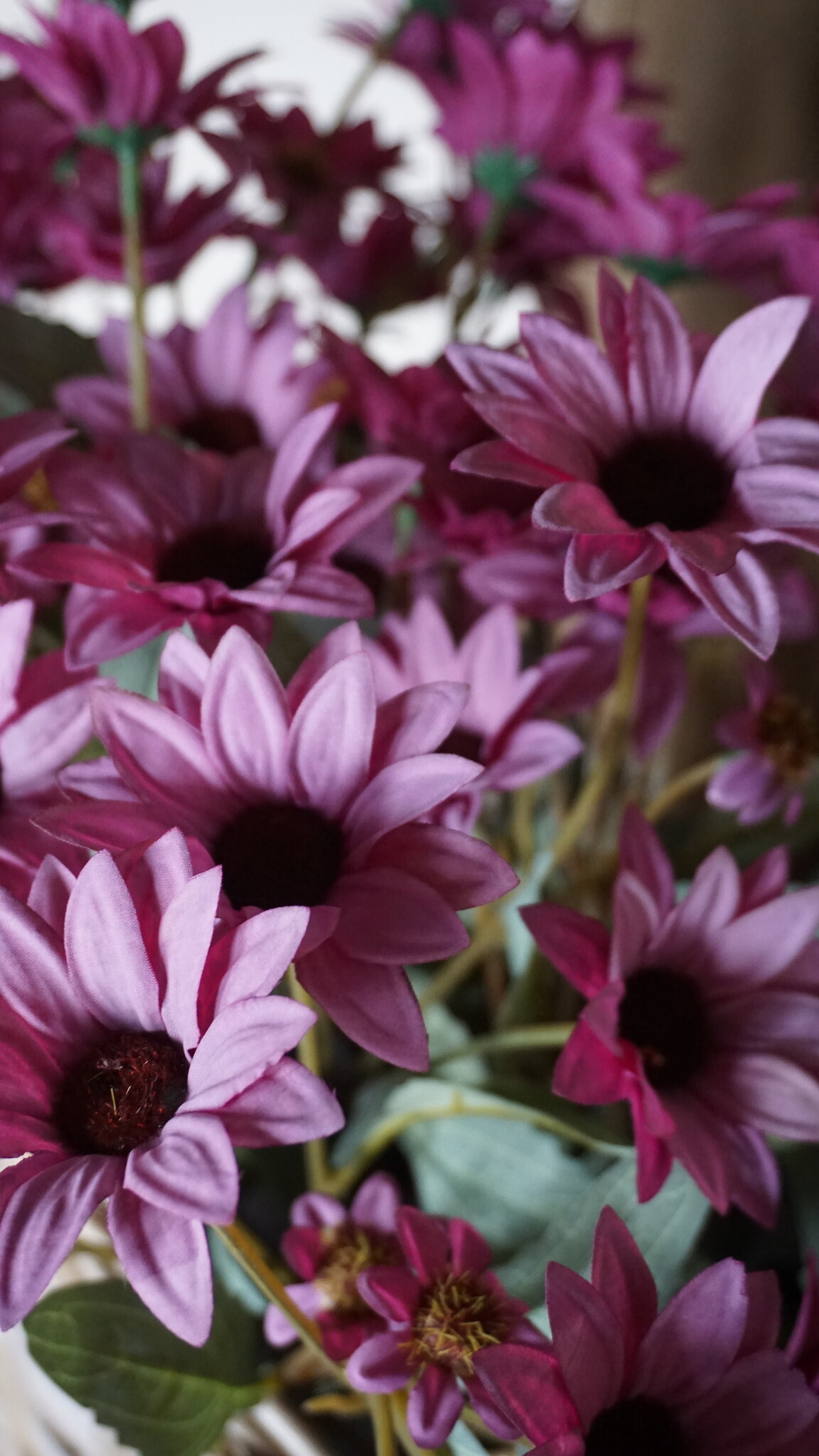 Rene Houtman Echinacea Takje | Paars | L60 cm