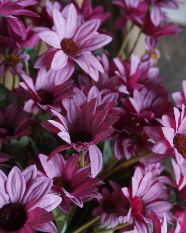 Rene Houtman Echinacea Takje | Paars | L60 cm