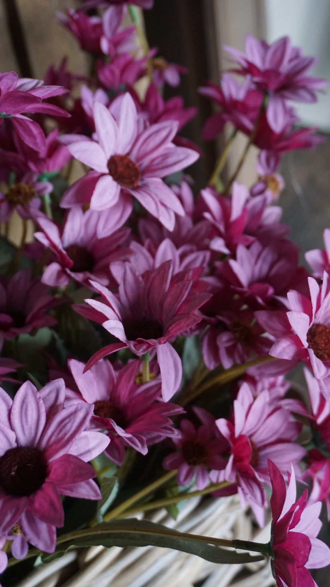 Rene Houtman Echinacea Takje | Paars | L60 cm