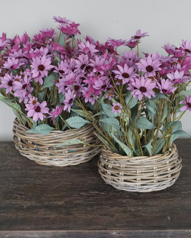 Rene Houtman Echinacea Takje | Paars | L60 cm