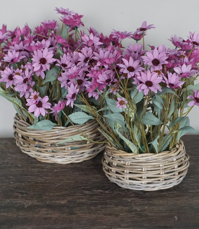 Rene Houtman Echinacea Takje | Paars | L60 cm