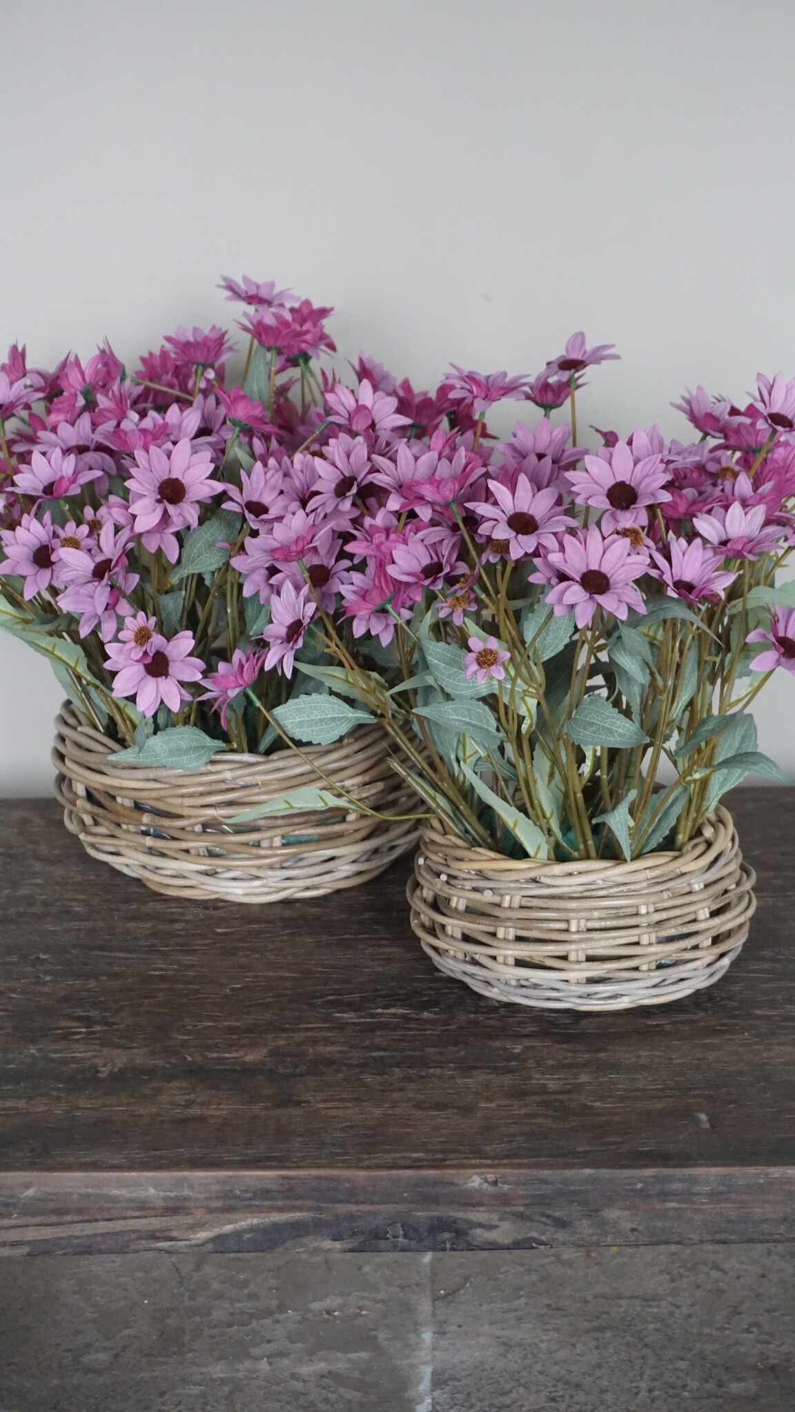 Rene Houtman Echinacea Takje | Paars | L60 cm