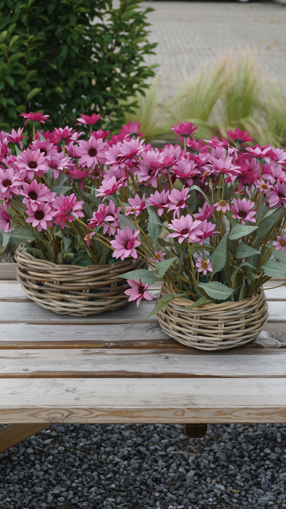 Rene Houtman Echinacea Takje | Paars | L60 cm