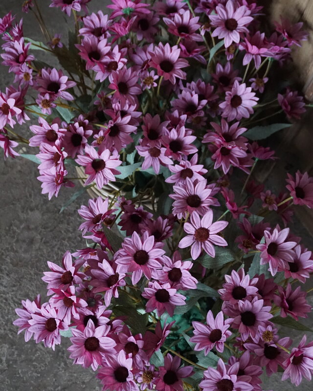 Rene Houtman Echinacea Takje | Paars | L60 cm