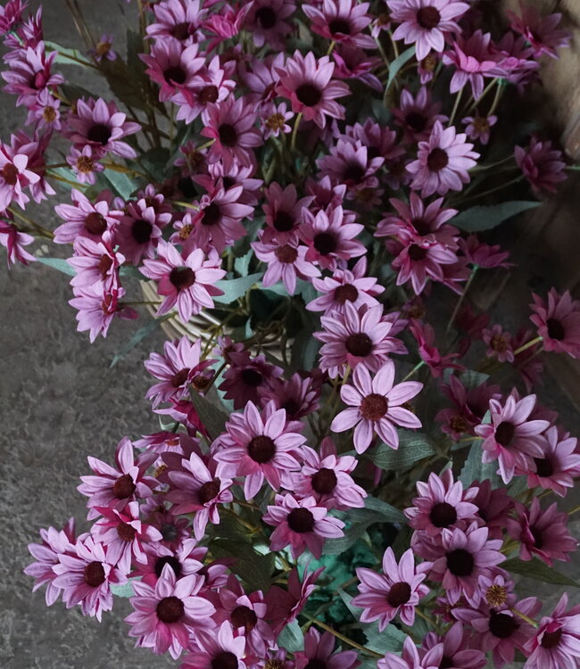 Rene Houtman Echinacea Takje | Paars | L60 cm