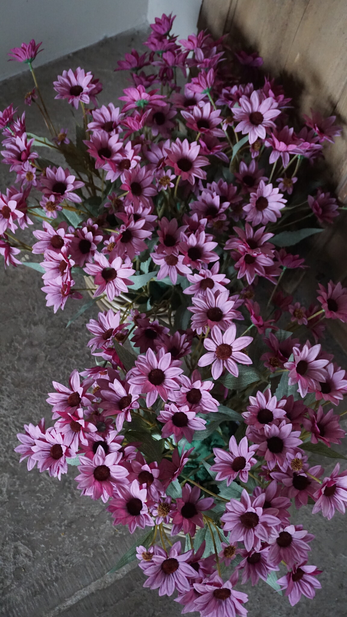 Rene Houtman Echinacea Takje | Paars | L60 cm