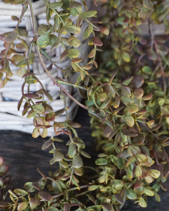 Rene Houtman Eucalyptus Kunsttak | Bruin | L110 cm