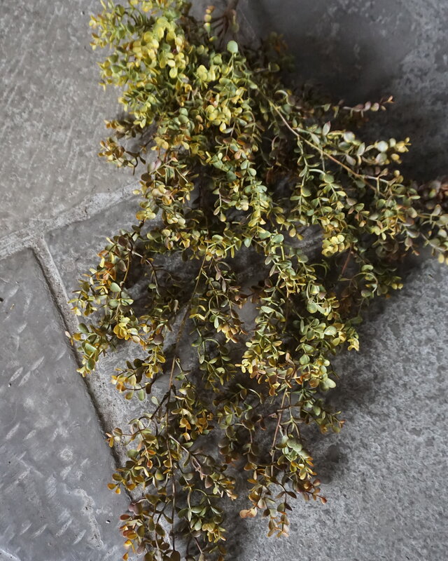 Rene Houtman Eucalyptus Kunsttak | Bruin | L110 cm