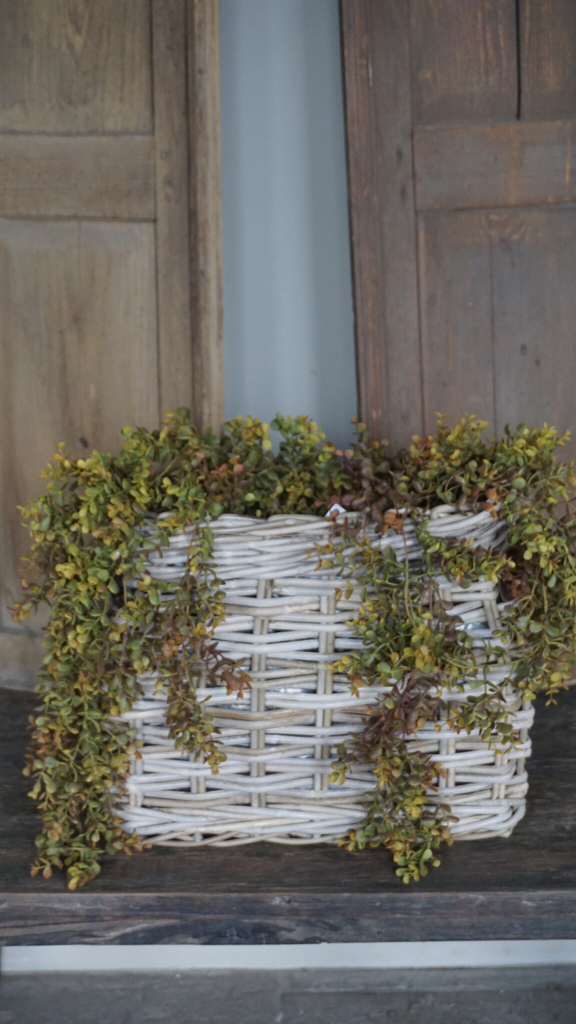 Rene Houtman Eucalyptus Kunsttak | Bruin | L110 cm