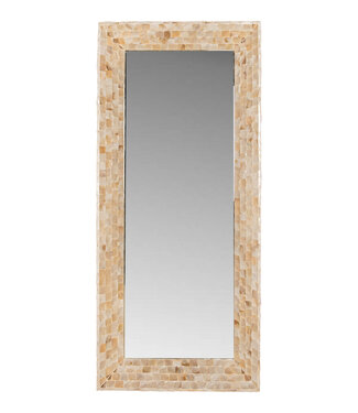 PTMD Chelsae Room Poly Rechthoekige Schelpspiegel