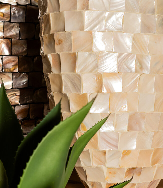 PTMD Chelsae Room Poly Rechthoekige Schelpspiegel