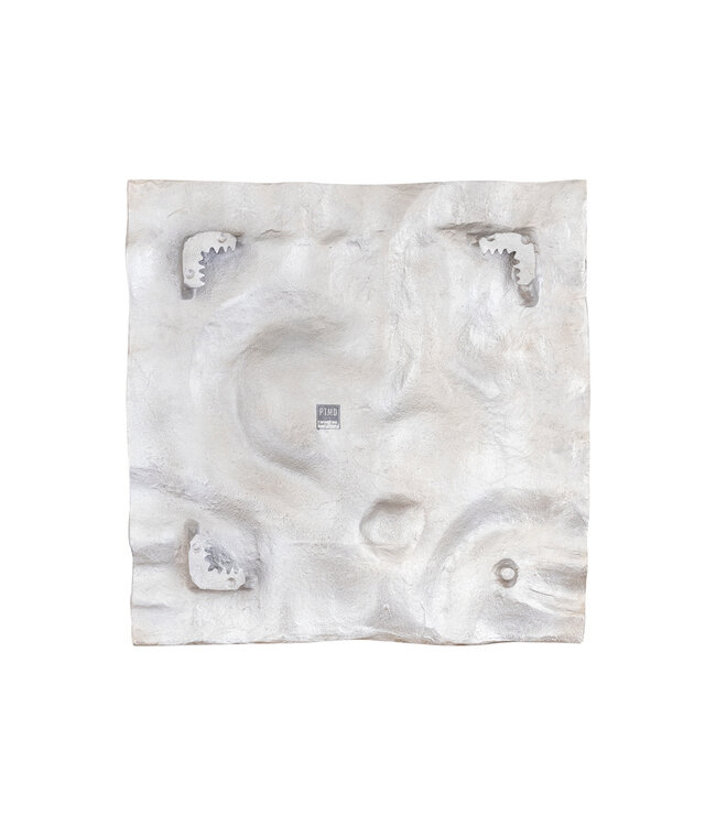 PTMD Eogan Wandpaneel | Ruw | Vierkant | H50 x B50 cm