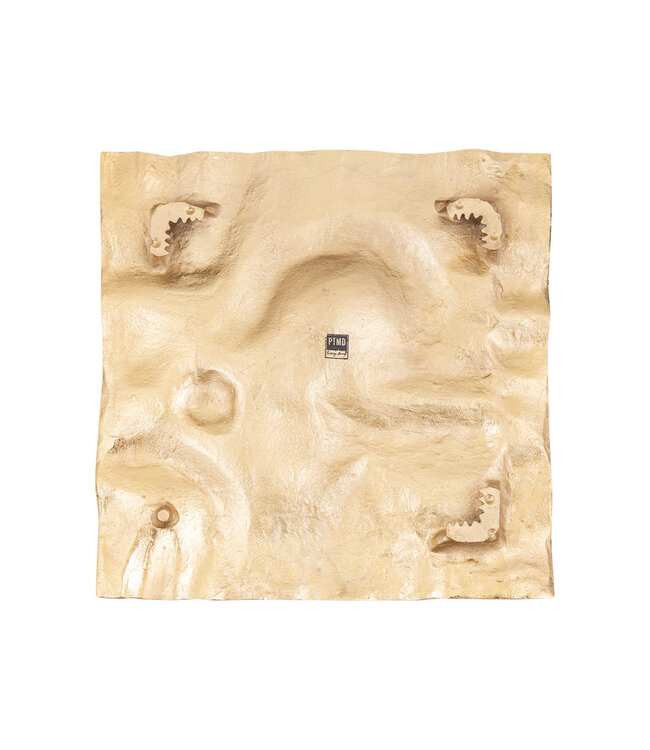 PTMD Eogan Gouden Gegoten Aluminium Wandpaneel Ruw Vierkant