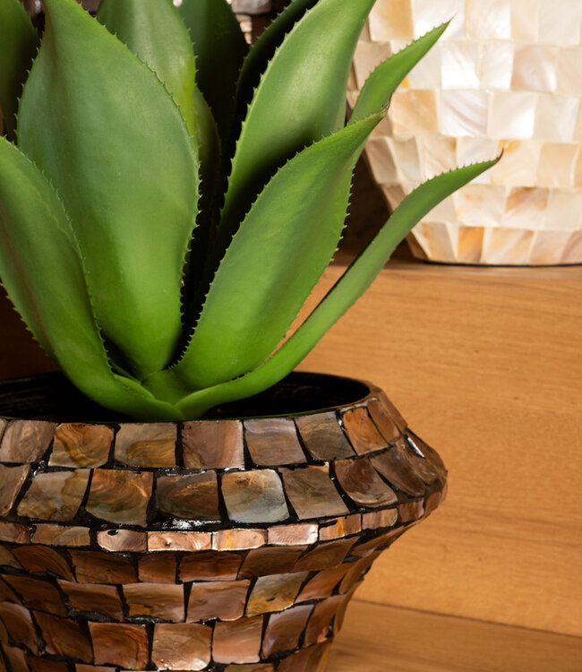 PTMD Chelsae Brons Poly Ronde Schelpspiegel Klein