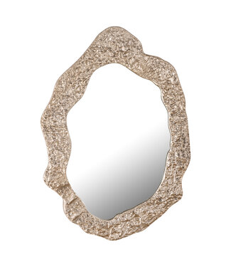 PTMD Morina Champagne Alu Spiegel Organische Ovale Vorm