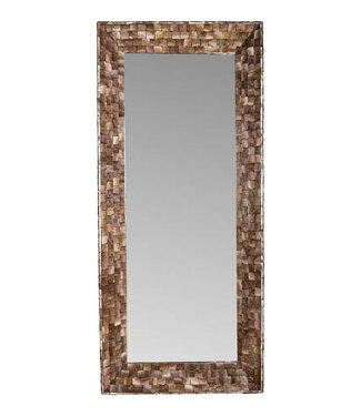 PTMD Chelsae Spiegel | Schelpen | Brons | H161 x B71 cm