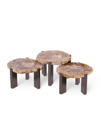 PTMD Rudi Salontafel | Set Van 3 | Versteend Hout