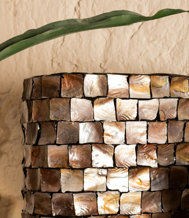 PTMD Chelsae Spiegel | Schelpen | Brons | H161 x B71 cm