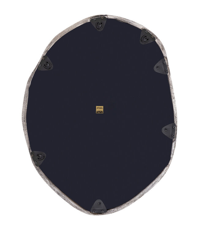 PTMD Paislie Nikkel Organisch Gevormde Spiegel Rond