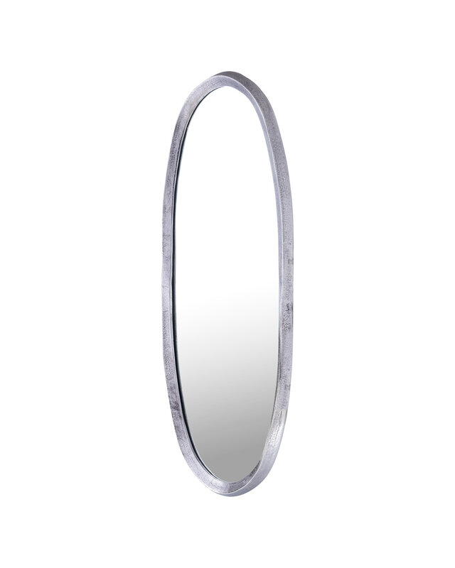 PTMD Limera Spiegel | S | Nikkel Aluminium | H120 x B50 cm