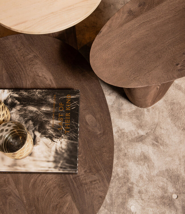 PTMD Harshad Bruine Mango Houten Bijzettafel Biologisch