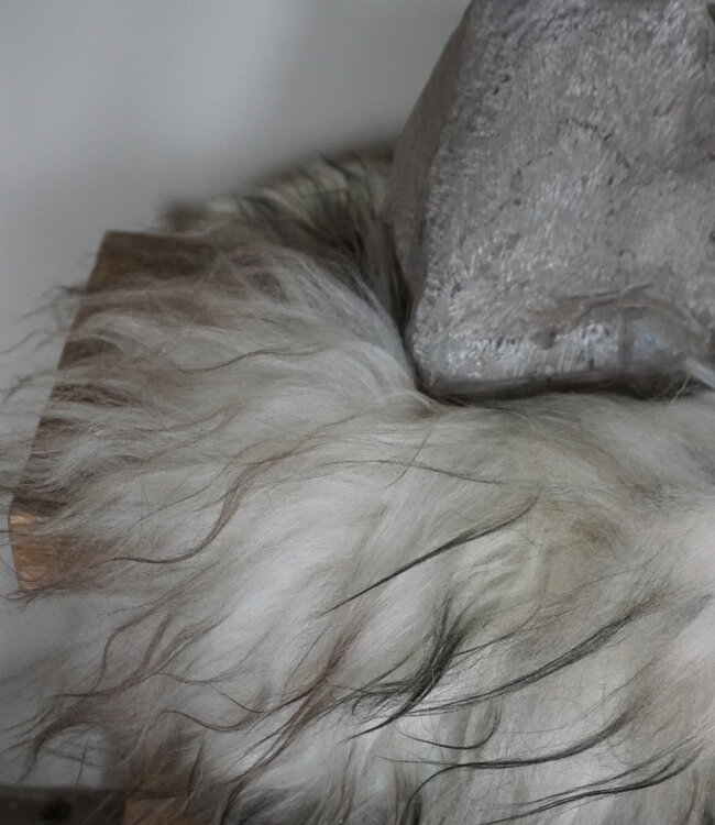 Rene Houtman Ijslands Schapenvacht | Meerkleurig | Langharig | 50 x 50 cm