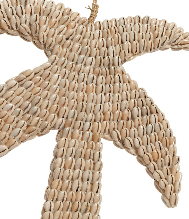 Bazar Bizar De Schelp Palmboom - Natuurlijk