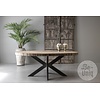 Eettafel New York | Ovaal | 200 cm | Incl. Spinpoot