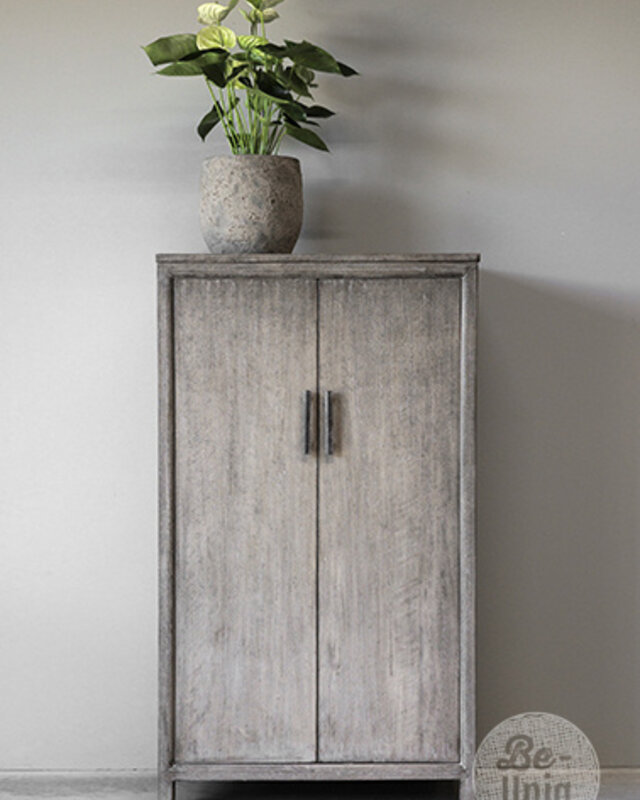 Be-Uniq 2-Deurs Kast | Patine Collection | H140xB80xD40 cm