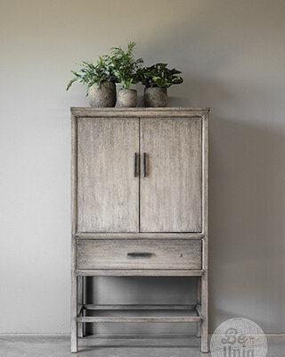 Be-Uniq 2-Deurs Kast | Patine Collection | H160xB90xD45 cm