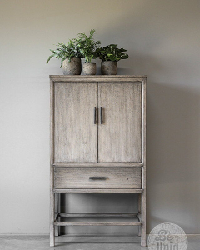 Be-Uniq 2-Deurs Kast | Patine Collection | H160xB90xD45 cm