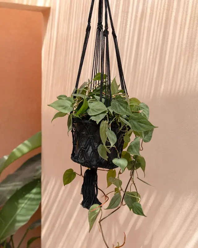 Bazar Bizar De Macramé Plantenhanger - Zwart - M_40