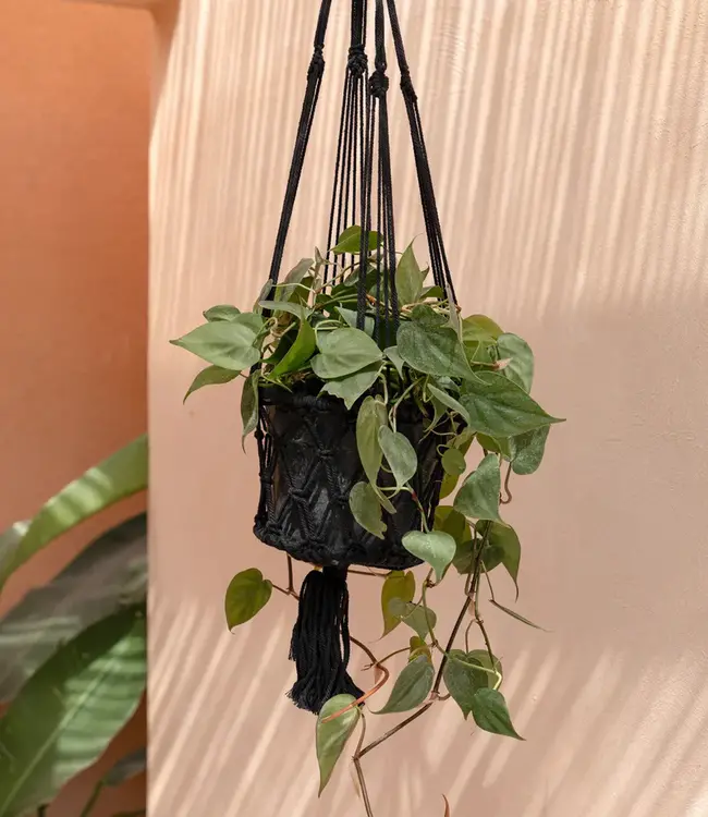 Bazar Bizar De Macramé Plantenhanger - Zwart - M_40