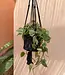 Bazar Bizar De Macramé Plantenhanger - Zwart - M_40